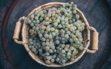 Basket with grapes on vintage rustic wooden barrel, table