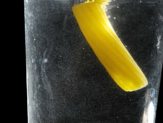 Italian Pasta Splashing