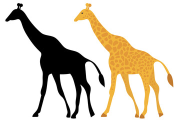Obraz premium giraffe flat design, isolated on white background, vector