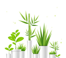 Realistic 3d Detailed Green House Plant Pot Set. Vector