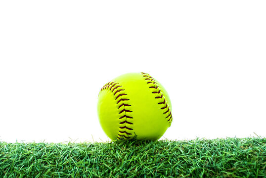 Green Softball On Grass With White Background