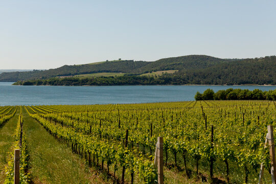 Lago di Corbara, Umbria