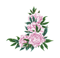 Watercolor pink peonies bouquet. Peony floral arrangements with flowers and green leaves. Perfect for wedding, invitation, cards