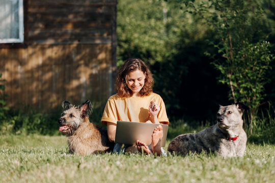 A young woman on the lawn with two dogs sits with a laptop. She smiles and communicates online. Summer, sun.