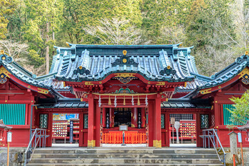 初春の箱根神社　神奈川県箱根町　Hakone Shrine in early spring. Kanagawa-ken Hakone...