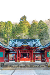 初春の箱根神社　神奈川県箱根町　Hakone Shrine in early spring. Kanagawa-ken Hakone...