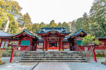 初春の箱根神社　神奈川県箱根町　Hakone Shrine in early spring. Kanagawa-ken Hakone town.