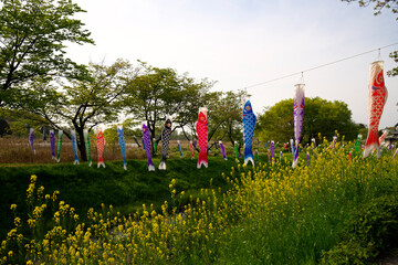 ２０２２年の鯉のぼりと川の風景