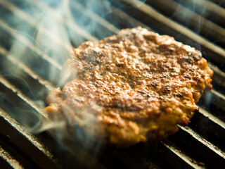 grilled meat on the grill