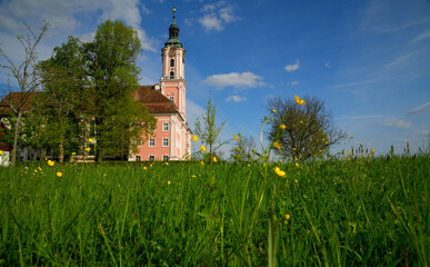 Eine Frühlinglandschaft mit blühender Wiese und die Klosterkirche von Birnau am Bodensee