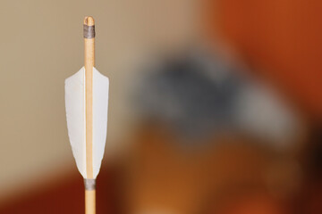 close-up plumage of an arrow for archery on a blurred background. white plumage close up s for...