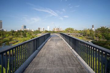 Fototapeta premium Skywalk and big trees in Benchakitti (Benjakitti) Park makes an excellent bike and jogging, Park in central Bangkok, Thailand.