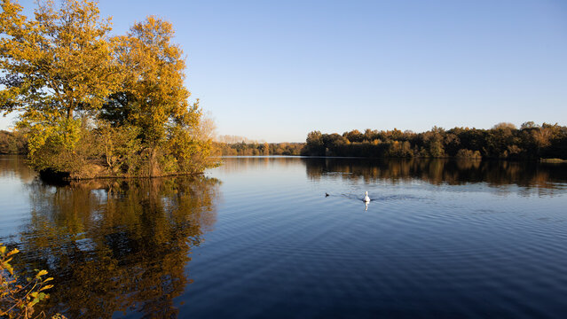 Sevenoaks Nature Reserve in Autumn