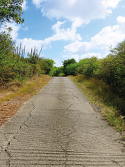 Straight paved road in dry season tropical landscape. Hiking route. Country road under Caribbean blue sky. Travel concept, trekking in the French West Indies.