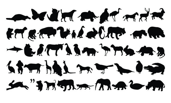 A collection of animal vectors for logos, icons, t-shirts and children's learning.