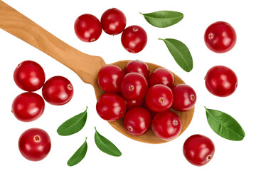 Cranberry in wooden spoon isolated on white background. Top view. Flat lay