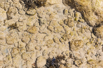 Rocks of dead coral swept by waves at white sand beach