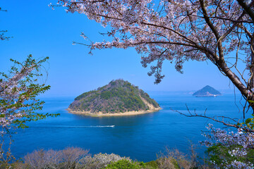 香川県坂出市の大崎ノ鼻から見る桜と小槌島と大槌島