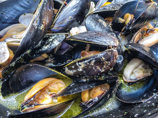Steamed mussels in white wine sauce