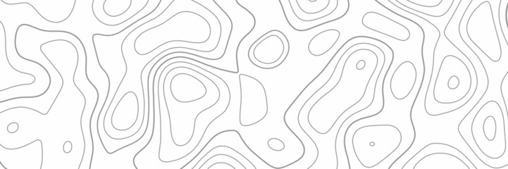 The black on white contours vector topography stylized height of the lines. topographic map lines on white background imaginary landscape