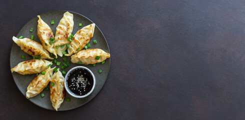 Fried dumplings with soy sauce. Gyoza. Healthy eating. Asian food.