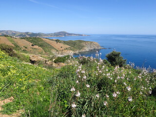 Fototapeta na wymiar côte rocheuse de la méditerranée du sud de la france