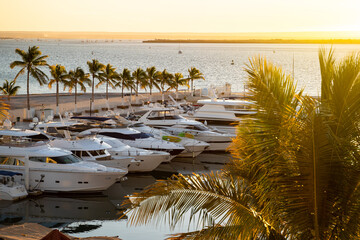 Marina with palm trees and yachts near the hotel. Relaxed sunset atmosphere, luxe resort and...