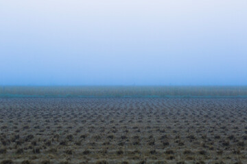 Obraz premium sky over the field