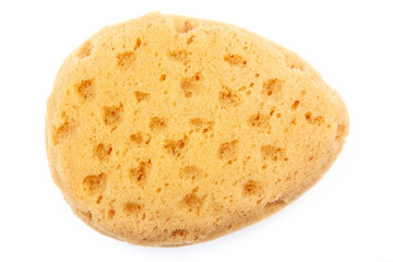 image of sponge white background