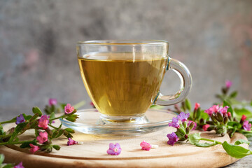 Herbal tea with fresh lungwort or pulmonaria flowers