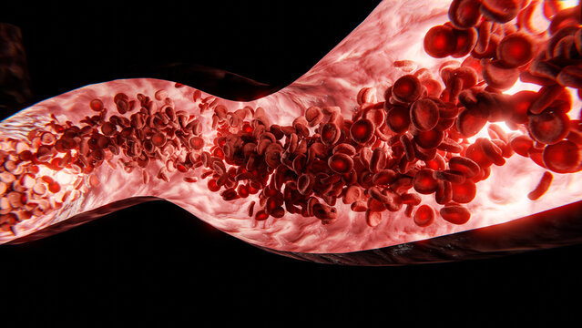 Roter Blutkörperchen oder Blutplättchen fließen durch Ader, Arterie oder Vene - Konzept Blutkreislauf