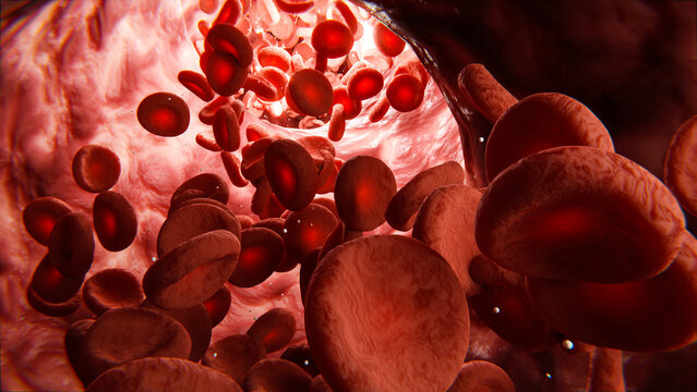 Blut - rote Blutkörperchen oder Blutzellen in Ader - Konzept Herz-Kreislauf oder Blutkreislauf
