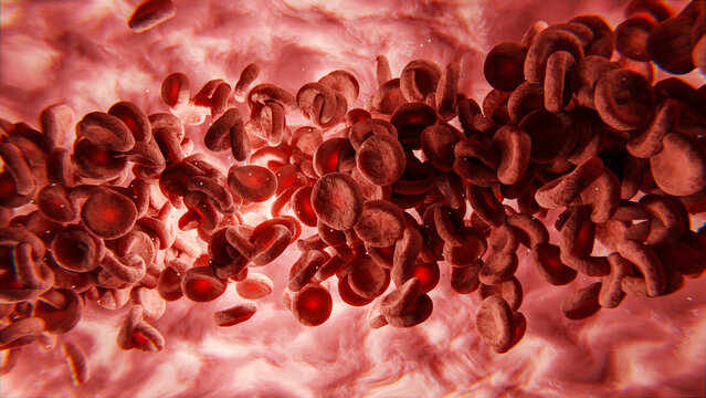Blut - rote Blutkörperchen und Blutzellen in Ader - Konzept Blutkreislauf