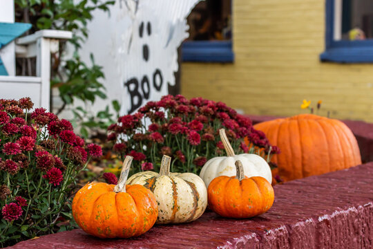 Assorted pumpkins, mums, and Halloween ghost decorations in the quaint and festive Del Ray neighborhood in Alexandria, Virgina.