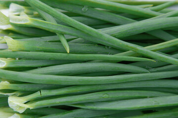 Stalks of fresh green onions on the table close-up. Food, vegetables, greens.