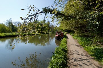 Obraz na płótnie Canvas Beautiful walk next to the canal in Cassiobury park, Watford