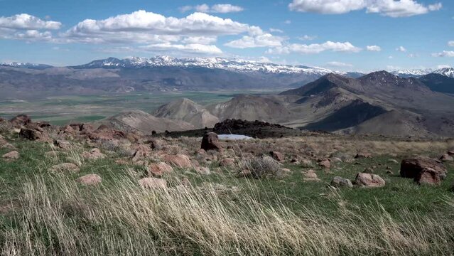 Central Valley And Sierra Nevada In California With Tall Grasses, Aerial Dolly In Shot