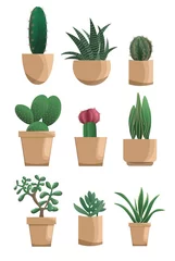 Deurstickers Cactus in pot Set of different succulents in modern flat style, isolated on white background