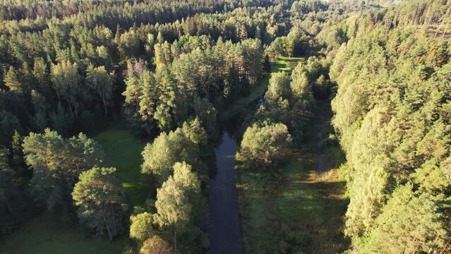Approach shot of Green Forest and River flowing in between the trees