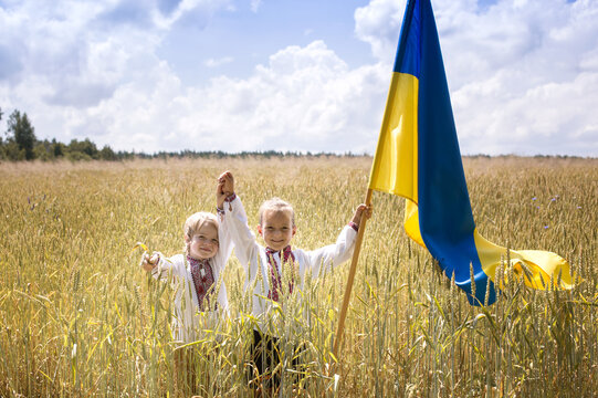 Two happy smiling boys in national Ukrainian embroidered shirts hold large yellow-blue flag against background of spikelets of a wheat field. Patriotic education. Independence Day. Glory to Ukraine