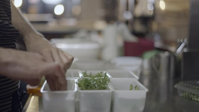 Chef sorts vegetables and herbs in plastic containers, close side view