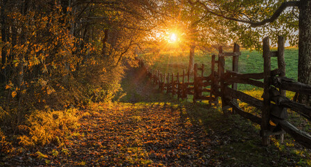 Late evening sunshine filtering through fall foliage with trailing split rail fence in the...