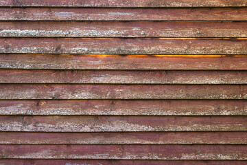 Old red grungy wooden wall with lichen, texture