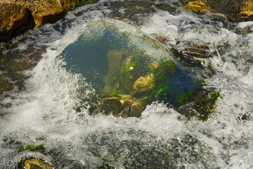 Wasserwirbel