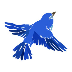 Vector image of a bird in blue.