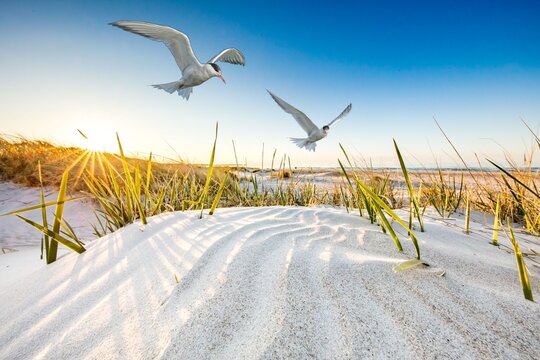 urlaub