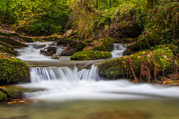 A calming Cornish woodland stream, on a cold November day.  A slow shutter speed makes the babbling water milky, adding to the serenity.  There are clear signs of autumn in the stream.