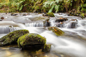 A calming Cornish woodland stream, on a cold November day.  A slow shutter speed makes the babbling water milky, adding to the serenity.  The rocks are alive with moss.