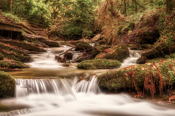 A calming Cornish woodland stream, on a cold November day.  A slow shutter speed makes the babbling water milky, adding to the serenity.  Autumnal colours are everywhere.