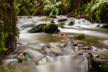 A calming Cornish woodland stream, on a cold November day.  A slow shutter speed makes the babbling water milky, adding to the serenity. The rocks are moss covered and the banks lined with ferns.